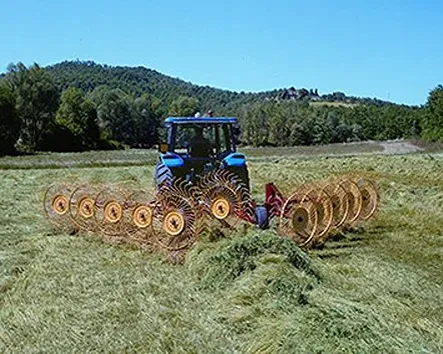 Sitrex Carted Rakes